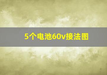 5个电池60v接法图