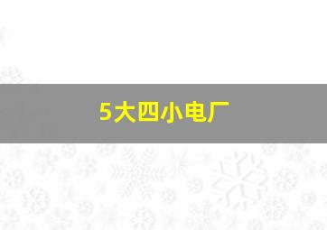 5大四小电厂