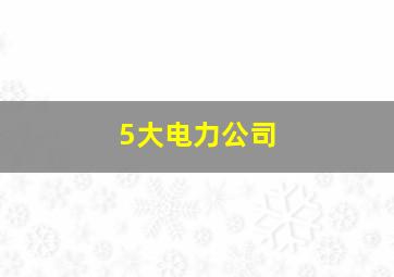 5大电力公司