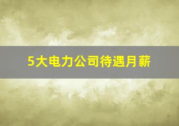 5大电力公司待遇月薪