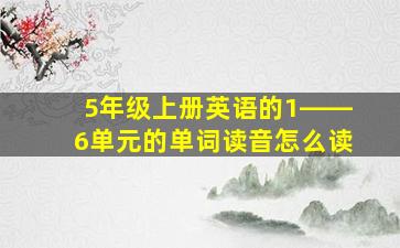 5年级上册英语的1――6单元的单词读音怎么读