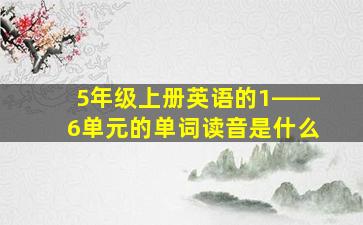 5年级上册英语的1――6单元的单词读音是什么