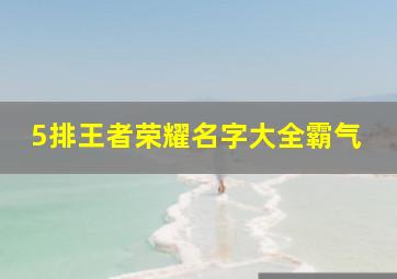 5排王者荣耀名字大全霸气