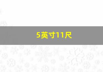 5英寸11尺