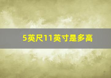 5英尺11英寸是多高