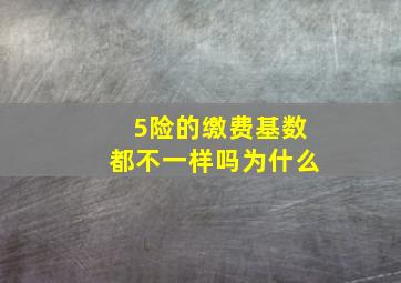 5险的缴费基数都不一样吗为什么