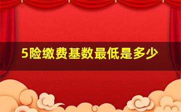 5险缴费基数最低是多少