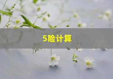 5险计算