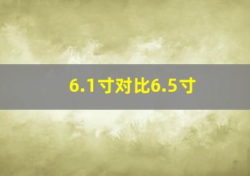 6.1寸对比6.5寸