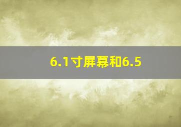 6.1寸屏幕和6.5