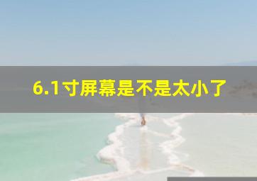 6.1寸屏幕是不是太小了