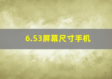 6.53屏幕尺寸手机