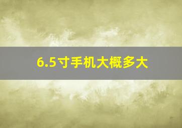 6.5寸手机大概多大