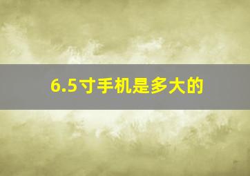 6.5寸手机是多大的