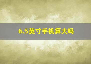 6.5英寸手机算大吗