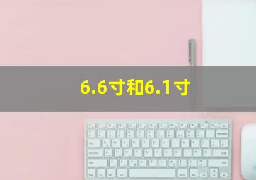 6.6寸和6.1寸