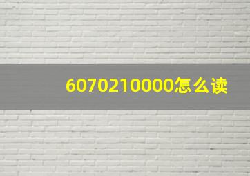 6070210000怎么读