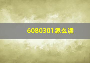 6080301怎么读