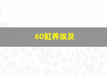 60缸养埃及