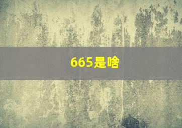 665是啥