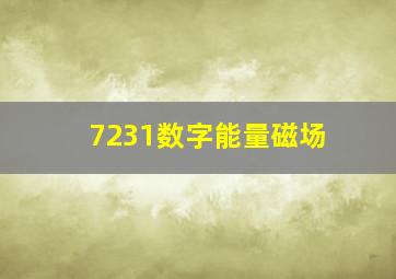 7231数字能量磁场