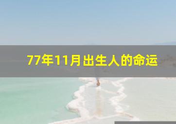 77年11月出生人的命运