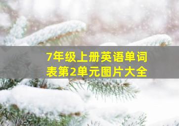 7年级上册英语单词表第2单元图片大全