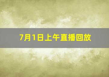 7月1日上午直播回放