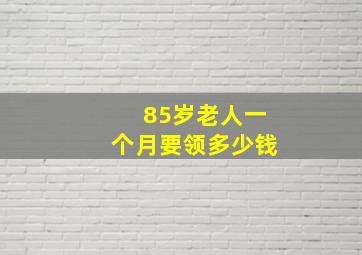 85岁老人一个月要领多少钱