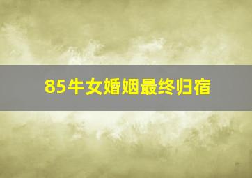 85牛女婚姻最终归宿