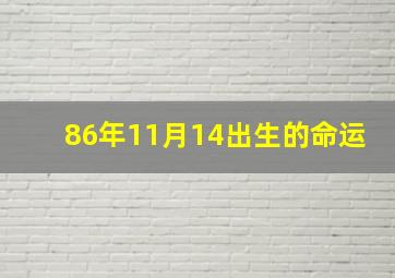 86年11月14出生的命运