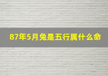 87年5月兔是五行属什么命