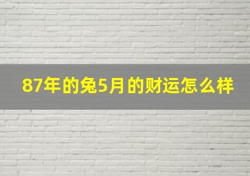 87年的兔5月的财运怎么样