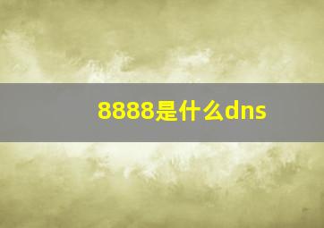 8888是什么dns