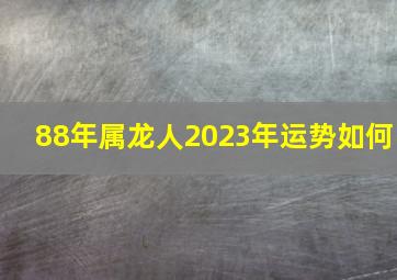 88年属龙人2023年运势如何