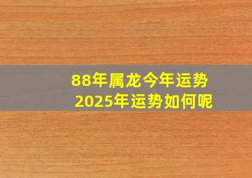 88年属龙今年运势2025年运势如何呢