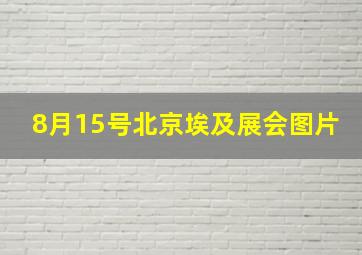 8月15号北京埃及展会图片