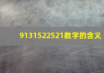 9131522521数字的含义