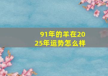 91年的羊在2025年运势怎么样