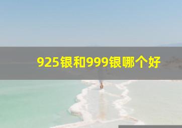 925银和999银哪个好