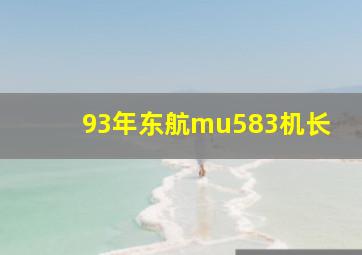 93年东航mu583机长