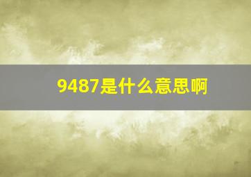 9487是什么意思啊