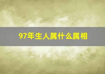 97年生人属什么属相