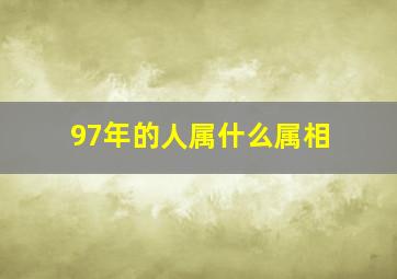 97年的人属什么属相