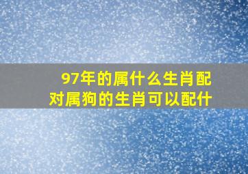 97年的属什么生肖配对属狗的生肖可以配什