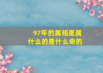 97年的属相是属什么的是什么命的