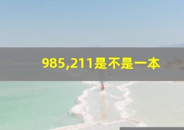 985,211是不是一本