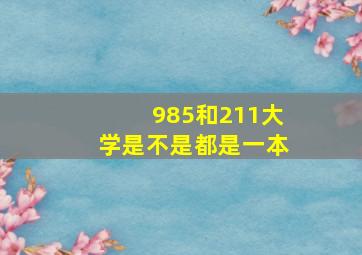 985和211大学是不是都是一本