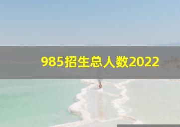 985招生总人数2022