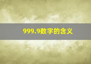 999.9数字的含义